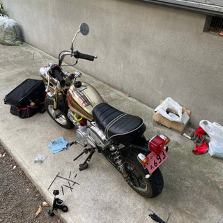 モンキーの画像