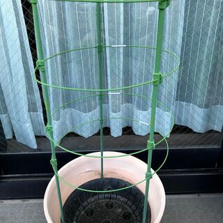 植木鉢と支柱　各2セットの画像