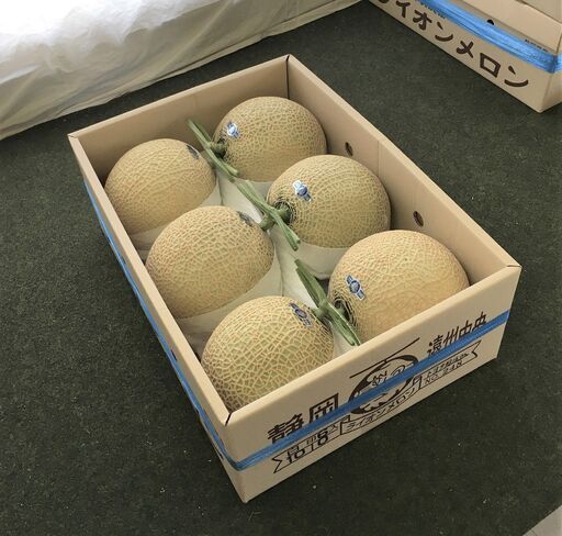 静岡メロン　6玉　☆7/28収穫☆8.0kg以上☆贈答品にも☆