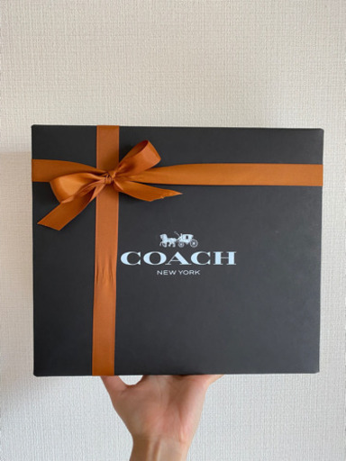 アベイシングエイプ　BAPE × COACH コラボウインドブレーカー Lサイズ