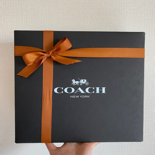 アベイシングエイプ BAPE × COACH コラボウインドブレーカー Lサイズ 