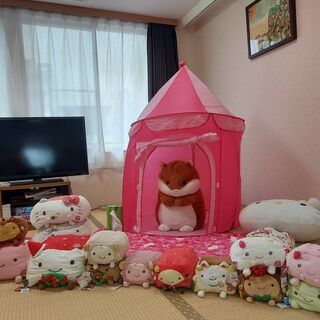 （●＾o＾●）お姫様ハウス(3歳時前後の女の子対応）