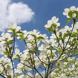 医療系集合ー！交流会！！