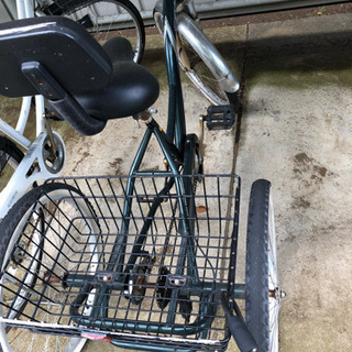 大人用三輪車の画像