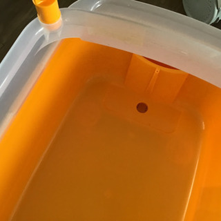 ペット用バスタブの画像