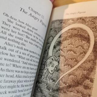 洋書　不思議の国のアリス ALICE in WONDERLAN ディズニーの画像