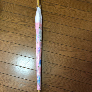 かさ