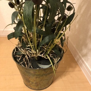 フェイク　観葉植物の画像