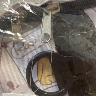 新品未使用ディズニー BIGファスナーリュックの画像
