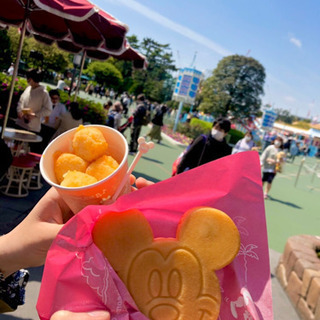 【平日中心】ディズニーに気軽に行ける仲間を募集✨ - 浦安市