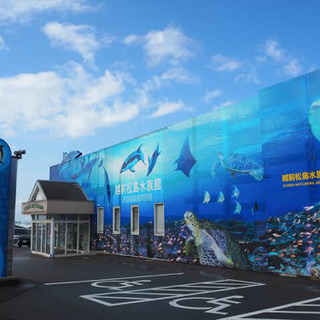 平日会　「水族館へ行こう」