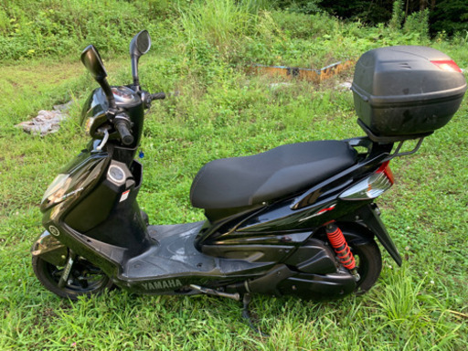 シグナスX SE44J 埼玉