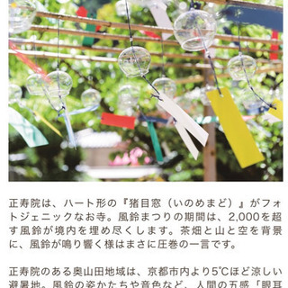 8/22(日)京都の風鈴寺🎐風鈴まつりに涼みに行きませんか？？⭐