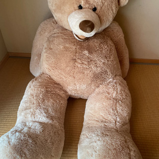 コストコクマのぬいぐるみ