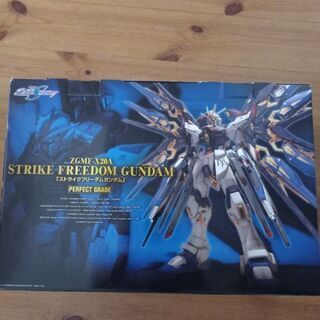 未開封☆ 1/60 PG ZGMF-X20A ストライクフリーガンダム