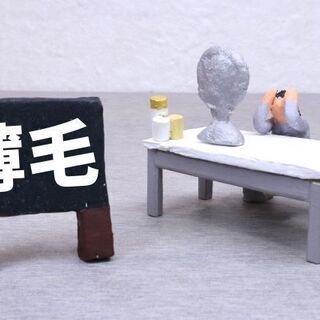 ✳️報酬UP✳️ 薄毛が気になる方限定 当日支払8,000円/2案件の画像