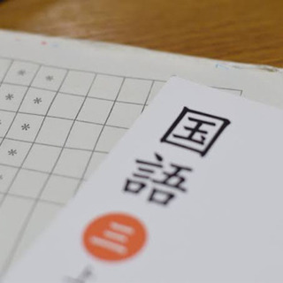 【オンライン家庭教師/教員免許保持/阪大卒】受験特化型 完全個別指導
