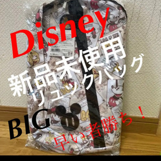 新品未使用ディズニー BIGファスナーリュック