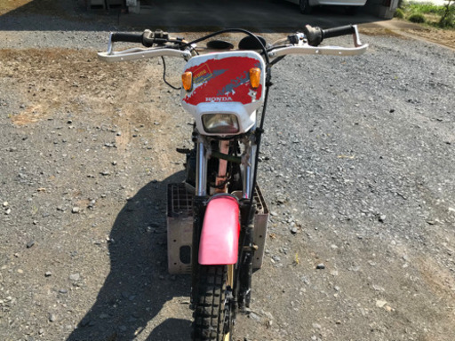 TLM200 希少　2ストトライアル車