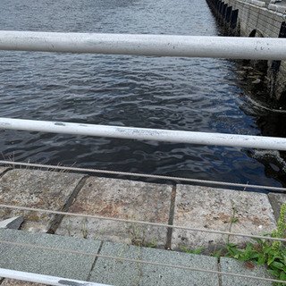 仲間募集🎣
