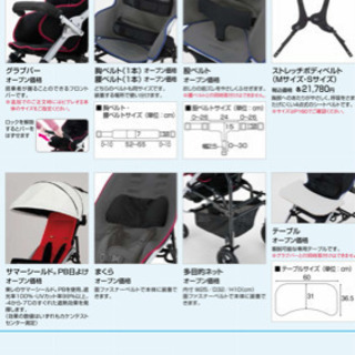 ピグレオ2 子供用車椅子 バギー型