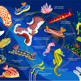 ウミウシバスタオルの画像