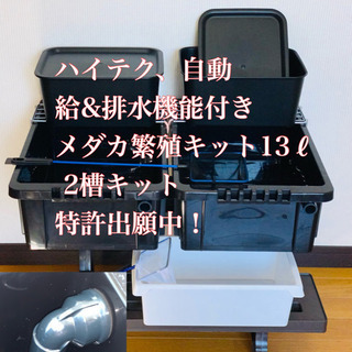 メダカ繁殖キット