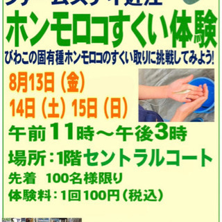 挑戦！ホンモロコすくい3日間
