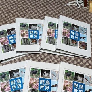 （確定）野鳥の世界　0円