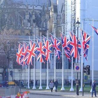 初心者大歓迎！オンラインで英語学びませんか？の画像