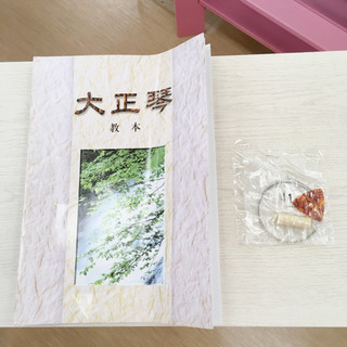 無料！大正琴✨五弦式大正琴✨琴・教本・ピック・調子笛・ケースセット✨調弦はしていません✨中古品の画像