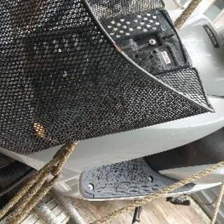 ホンダDIOの画像