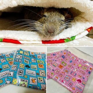 小さな動物たち展（グループ展）開催中