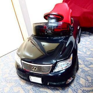 沖縄で拾った人みたいな石