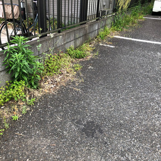 草むしり4,000円※牛久中心市街地のアパート敷地