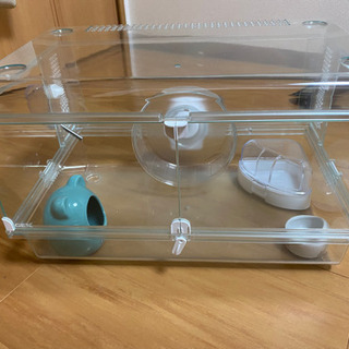 値下げ交渉ok  完璧ハムスター飼育セット！