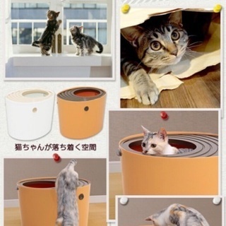 猫ちゃんトイレの画像