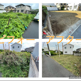 【見積無料】草刈隊/格安草刈りサービス〜小さなお庭から広い空き地まで - 剪定/造園
