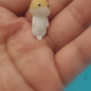 猫カフェ友達募集
