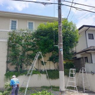 庭師見習い　未経験者歓迎　清掃アルバイト　日払い有り