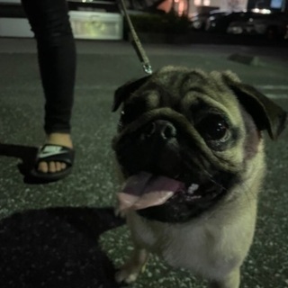 里親様決まりました。