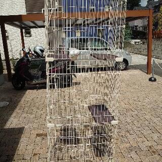 猫タワーの画像