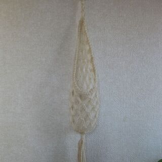 グリーンインテリア・夏の涼しげ観葉植物ヒメモンステラの水耕栽培♪の画像