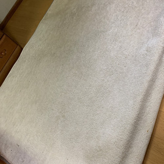 ニトリ　タフテッドカーペットの画像