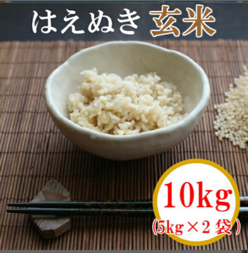 山形県庄内産 令和2年産 はえぬき　玄米10kg（５kg×２袋）