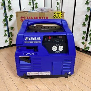 ストレリチア オーガスタ