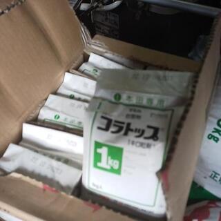 コラトップ