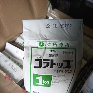 コラトップの画像