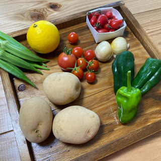 初心者限定！！English pizza lesson 🍕の画像