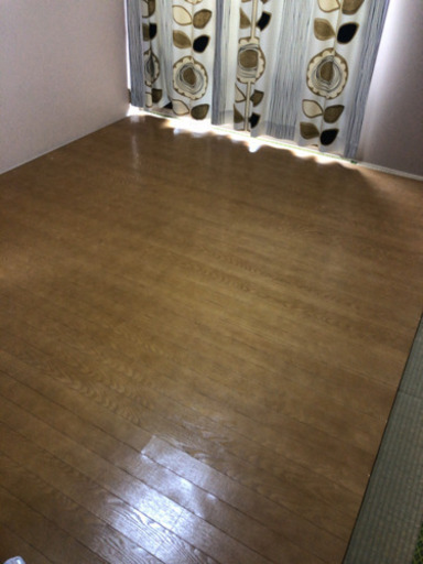 フローリングカーペット (決まりました)